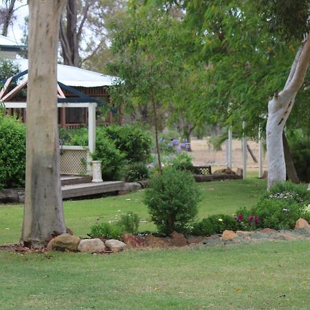 Rosebank Homestead And Farmstay Дэлби Экстерьер фото